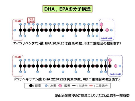 epa結構|EPA の構造、機能、代謝: DHA 合成の原料、オメガ